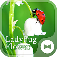 Flower Theme Ladybug Flower