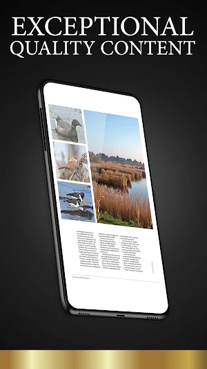 Sussex Life Magazine Screenshot 2