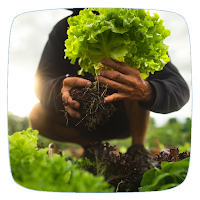 Vegetable Gardening Guide
