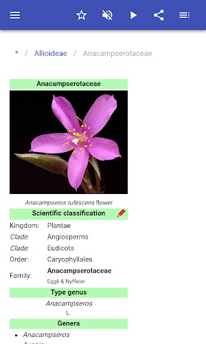 Botanical families Screenshot 2