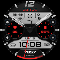 OMG 446 - Hybrid Watch Face