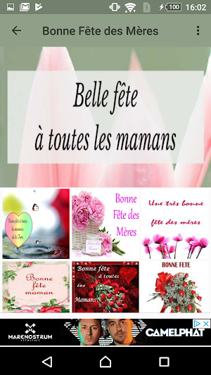 Bonne Fête des Mères Screenshot 1