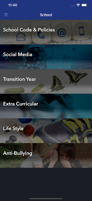 St. Bricin’s College Screenshot 2