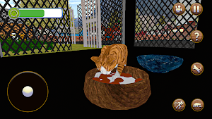 Cat Shelter Pet Simulator Game Screenshot 2