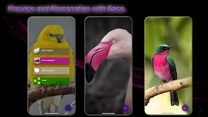 Wings of Wonders Screenshot 2