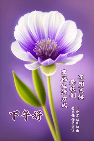 下午好 Screenshot 3
