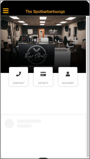 Spotbl1 Screenshot 3