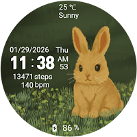 MKW Rabbit – Cute Watch Face