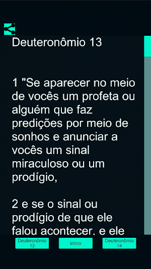 Deuteronômio Bíblicos Screenshot 3