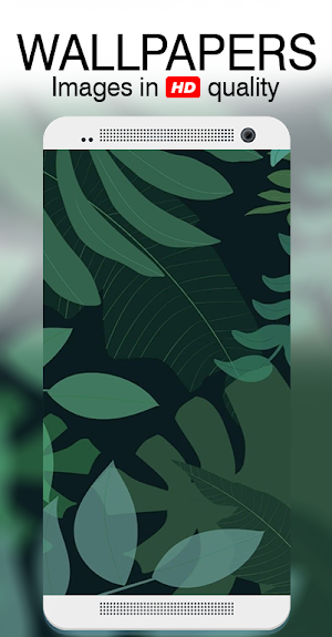 Green cute wallpaper Screenshot 3