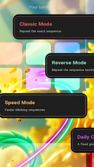 EchoMemory Screenshot 2