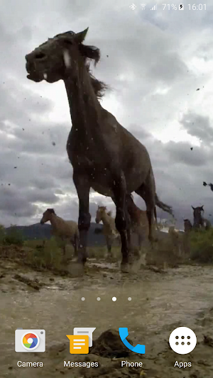 Wild Horses Live Wallpaper Screenshot 1