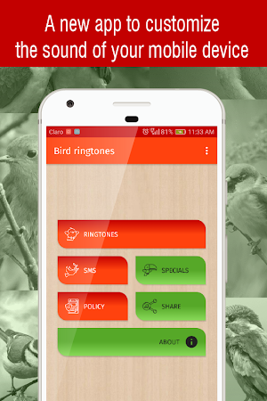 bird ringtones for phone, bird sounds ringtones Screenshot 0