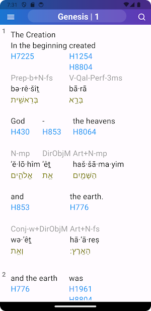 Hebrew and Greek Strongs Bible Screenshot 0