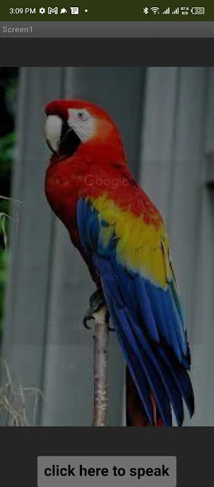 Parrot Screenshot 2