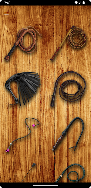 Whip Simulator - Pocket Whip Screenshot 0