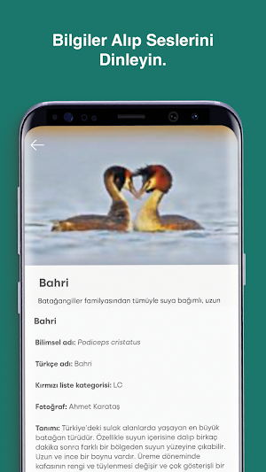Gediz Deltası Screenshot 2
