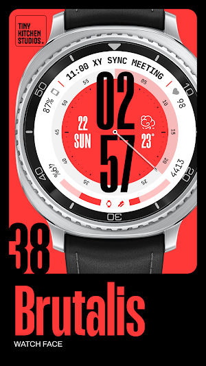 TKS 38 Brutalis Watch Face Screenshot 0