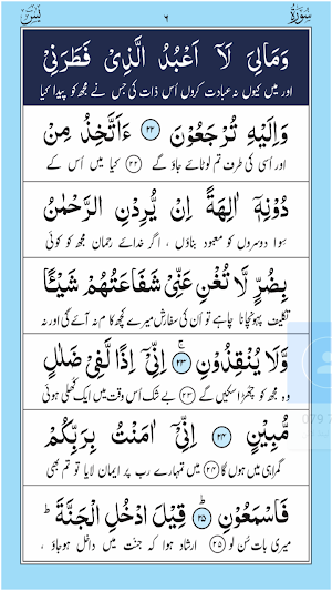 Surah Yasin Screenshot 2