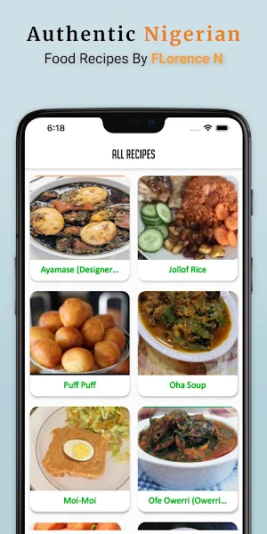 Authentic Nigerian Food Recipes by Florence N Screenshot 0