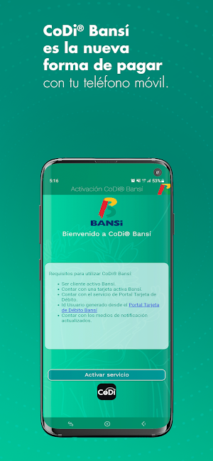 CoDi Bansí Screenshot 2