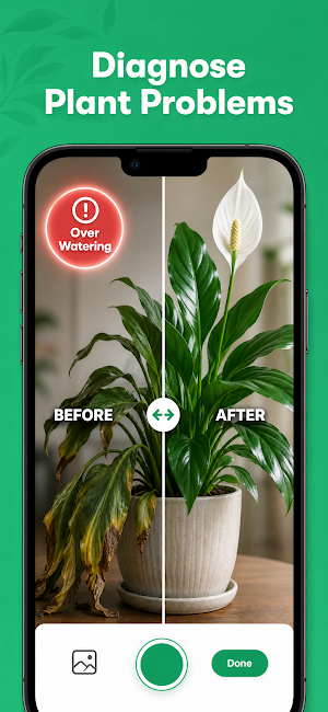 Plant Flow: Identify & Care Screenshot 1