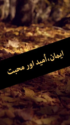 Iman Umeed Aur Mohabbat by Umera Ahmed - Offline Screenshot 0