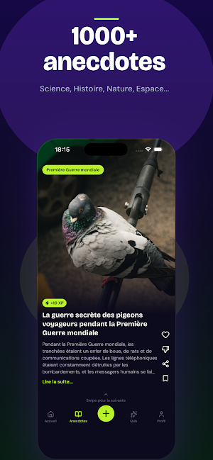 Lumi - Quiz & Anecdotes Screenshot 3