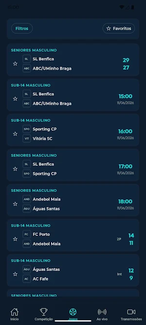 Paredes Handball Cup Screenshot 1