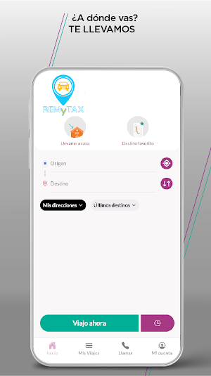 REMYTAX Screenshot 0