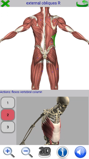 Visual Anatomy 2 Screenshot 3