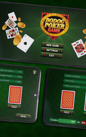 Bodog Poker Game Screenshot 1