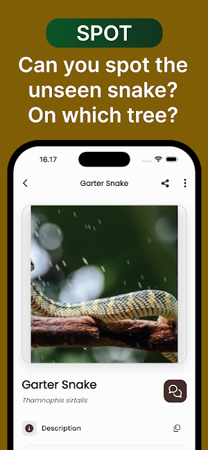 Snake ID: AI Snake Identifier Screenshot 3