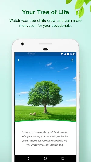 Morning Dew Screenshot 1