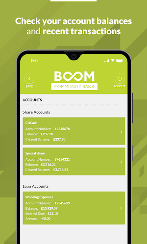BOOM Community Bank Screenshot 1
