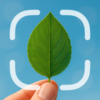 Leaf Identifier