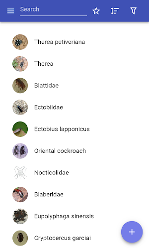 Cockroaches Screenshot 0