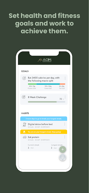 AOM Training Screenshot 3