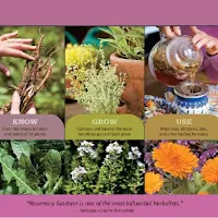 Medicinal Plant And Herbs