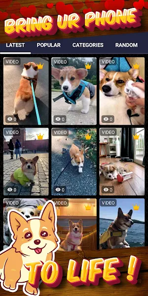corgi wallpaper Screenshot 1