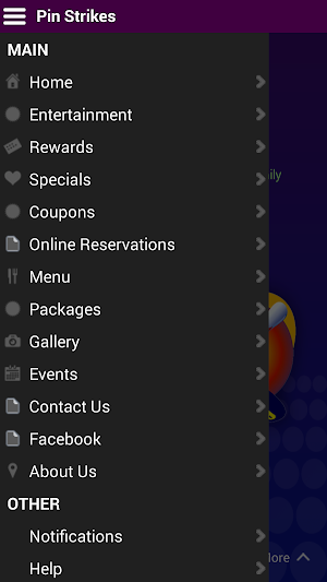 Pin Strikes Screenshot 1
