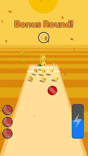Cricket Bowling Screenshot 2