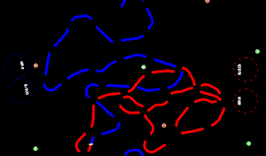 Straight Curves Screenshot 3
