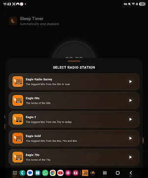 Eagle Radio Player Screenshot 3