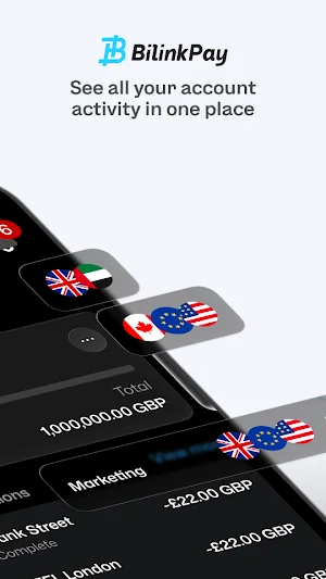 BilinkPay Screenshot 1