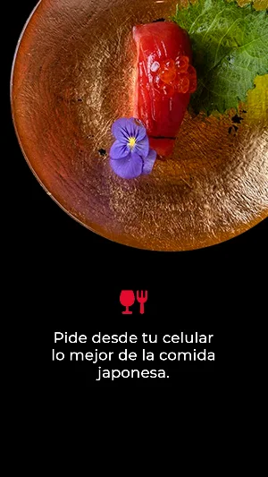 El Japonez Screenshot 2