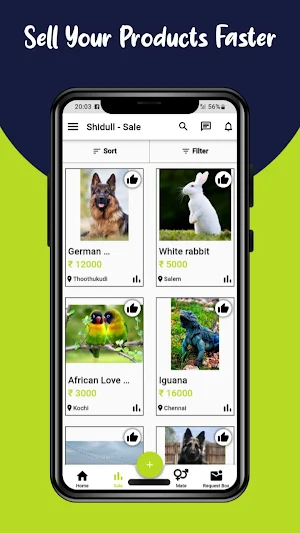 Shidull Screenshot 3