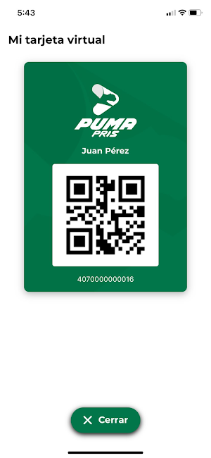 Puma PRIS (SV) Screenshot 2