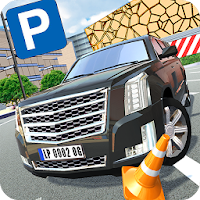Luxury Car Parking