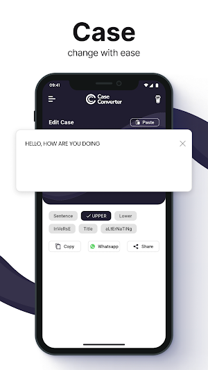 Case Convertor Screenshot 1